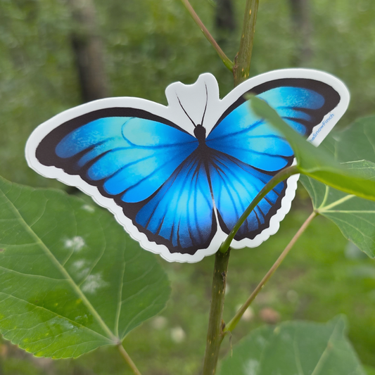 Blue Morpho Butterfly Sticker || Waterproof Vinyl