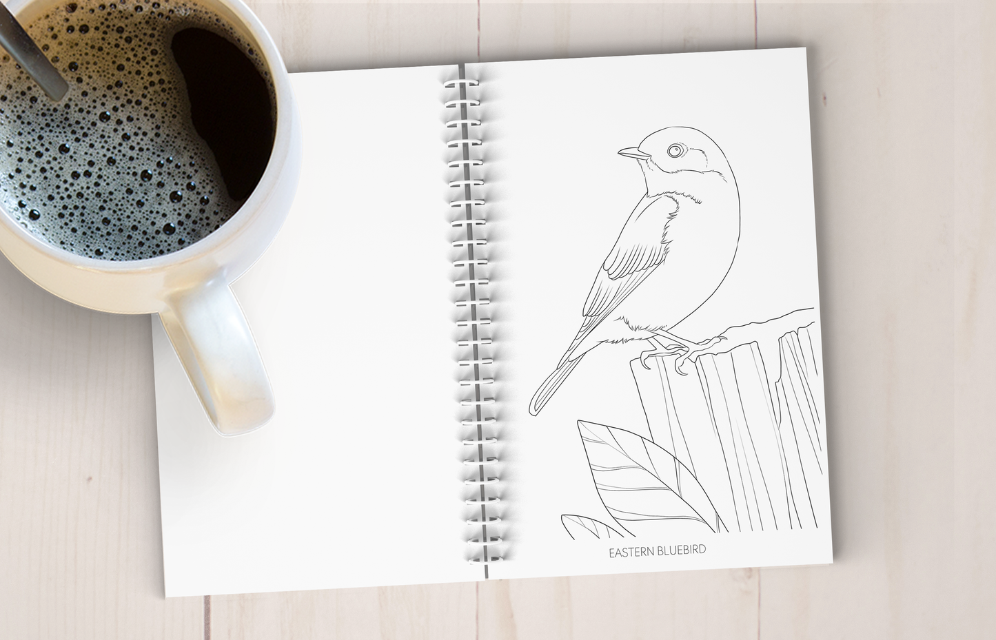 Backyard Bird Art Coloring Book