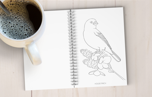Backyard Bird Art Coloring Book