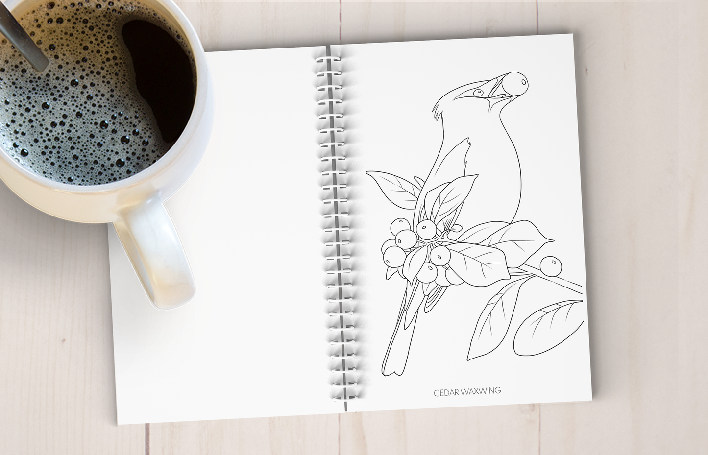 Backyard Bird Art Coloring Book