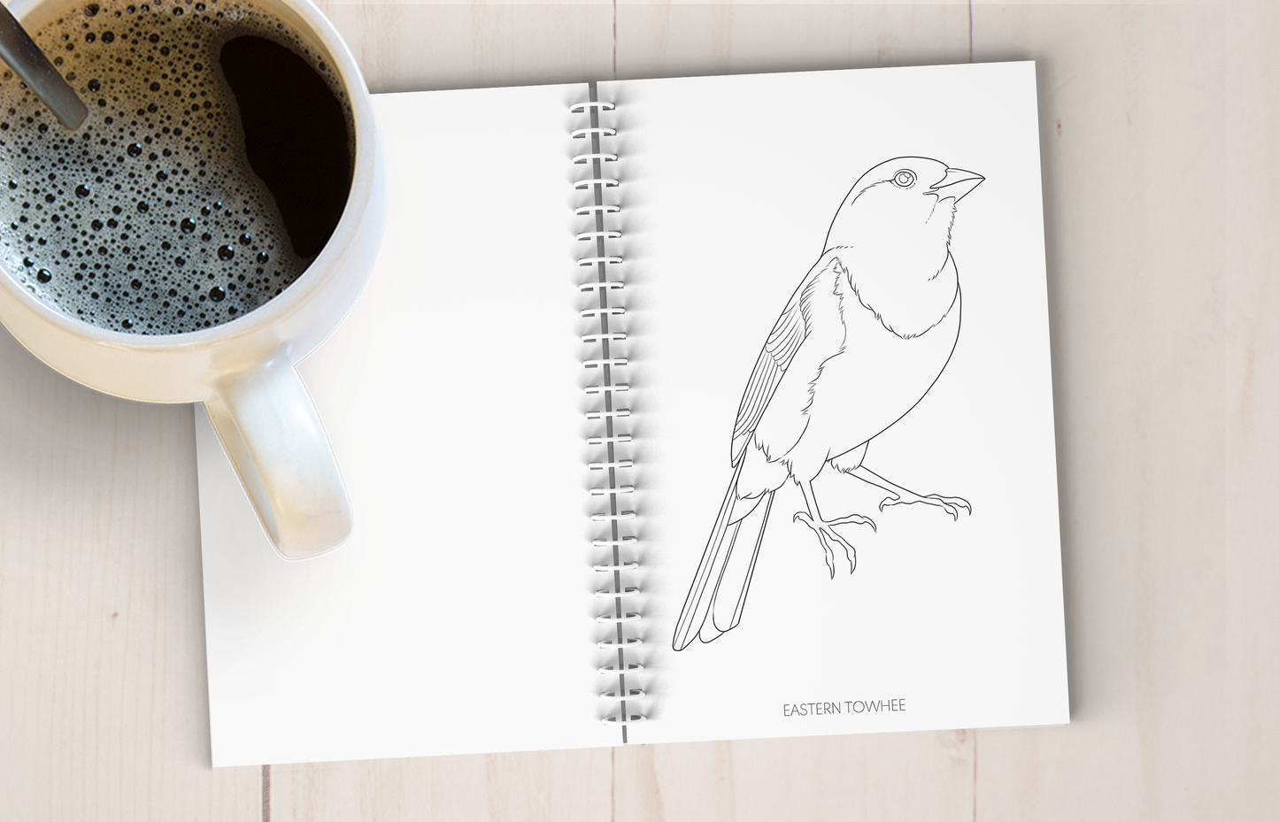 Backyard Bird Art Coloring Book