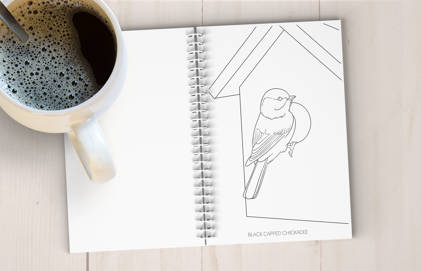 Backyard Bird Art Coloring Book