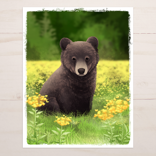 Baby Black Bear Floral || Wildflower Wildlife Fine Art Print