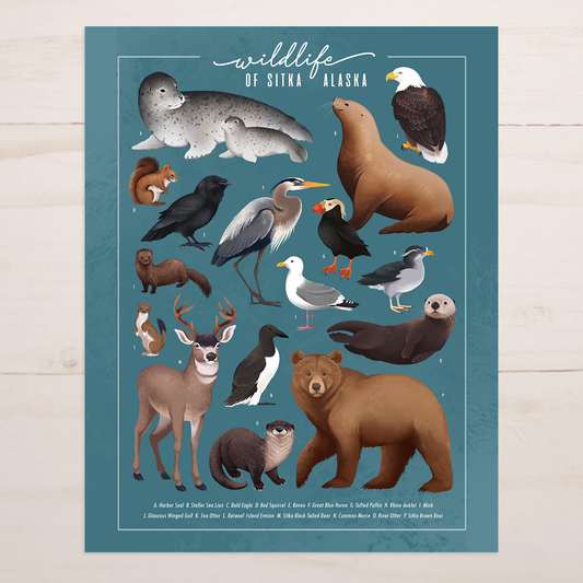 Wildlife of Sitka Alaska || Field Guide Art Print