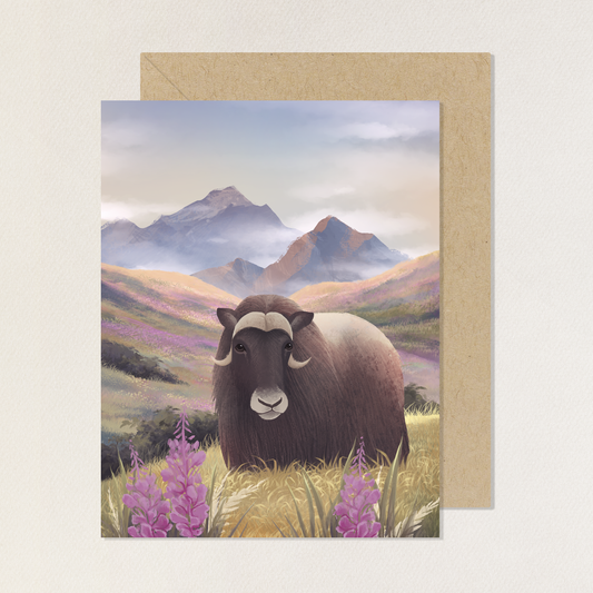 Musk Ox and Fireweed Mountain Greeting Card with Envelope