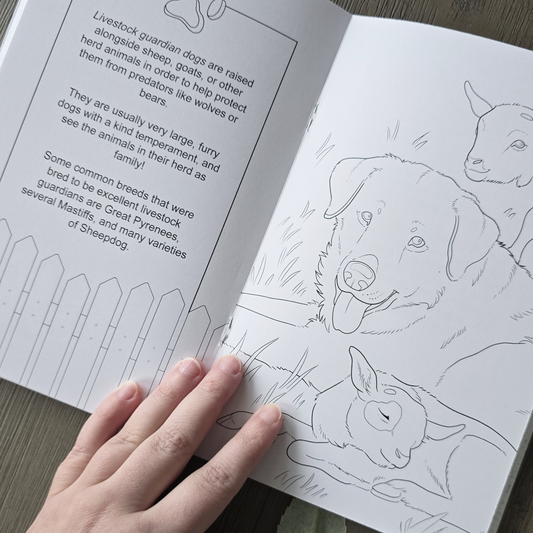 Farmyard Friends Coloring Book