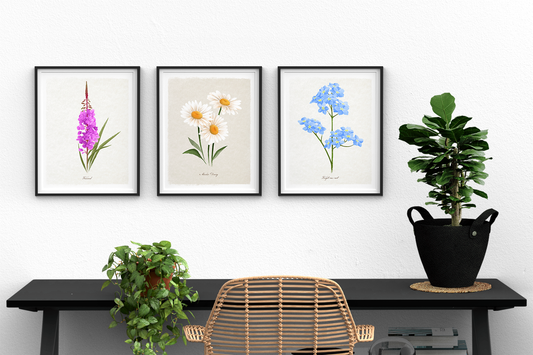 Sunflower Floral || Botanical Fine Art Print