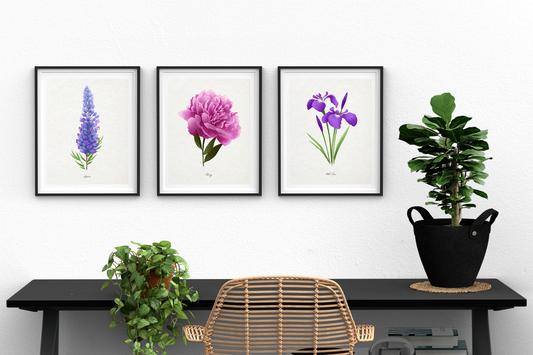 Wild Iris Floral || Botanical Fine Art Print