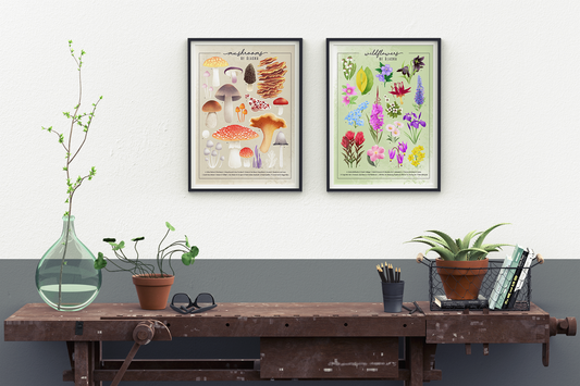 Wildflowers of Alaska || Floral Field Guide Art Print