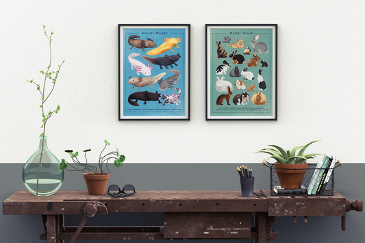 Rabbit Breeds || Cottage Farm Bunny Art Print