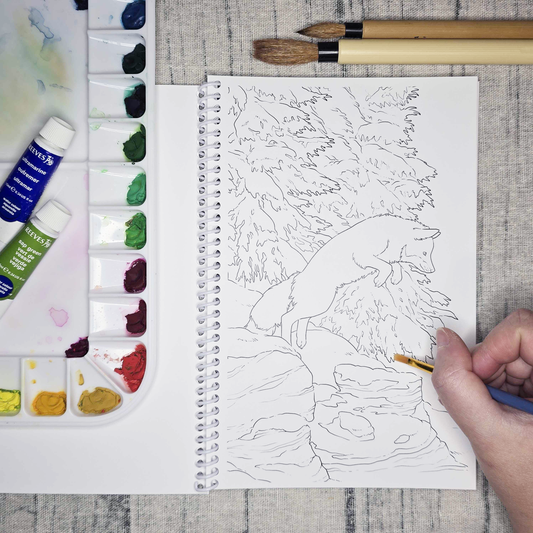 Arctic Alaska Art Coloring Book