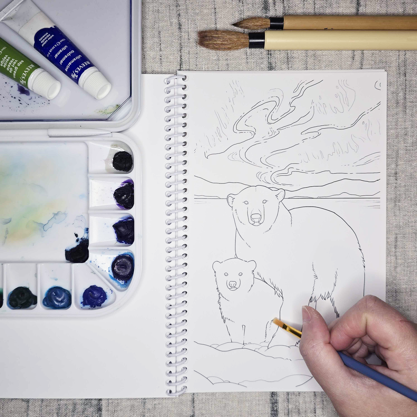 Arctic Alaska Art Coloring Book
