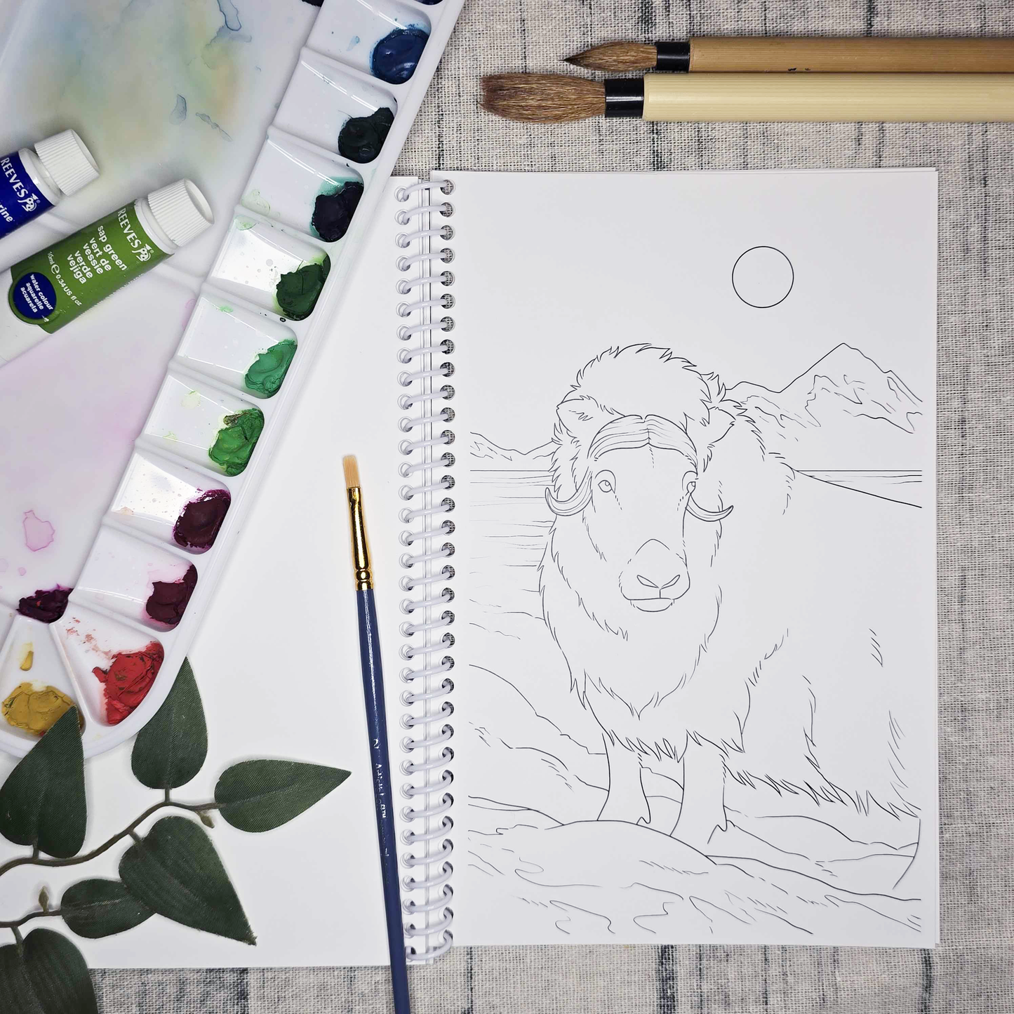 Arctic Alaska Art Coloring Book