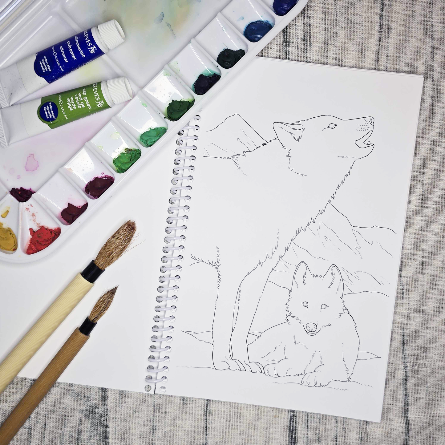 Arctic Alaska Art Coloring Book