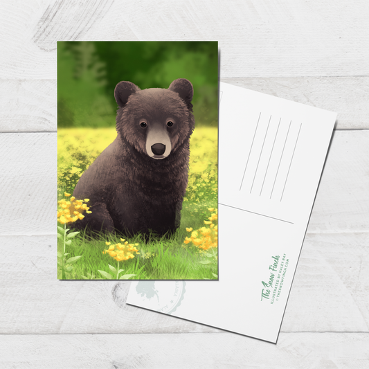 Baby Black Bear Wildflower Postcard || 4x6 Travel Alaska Art Postcard