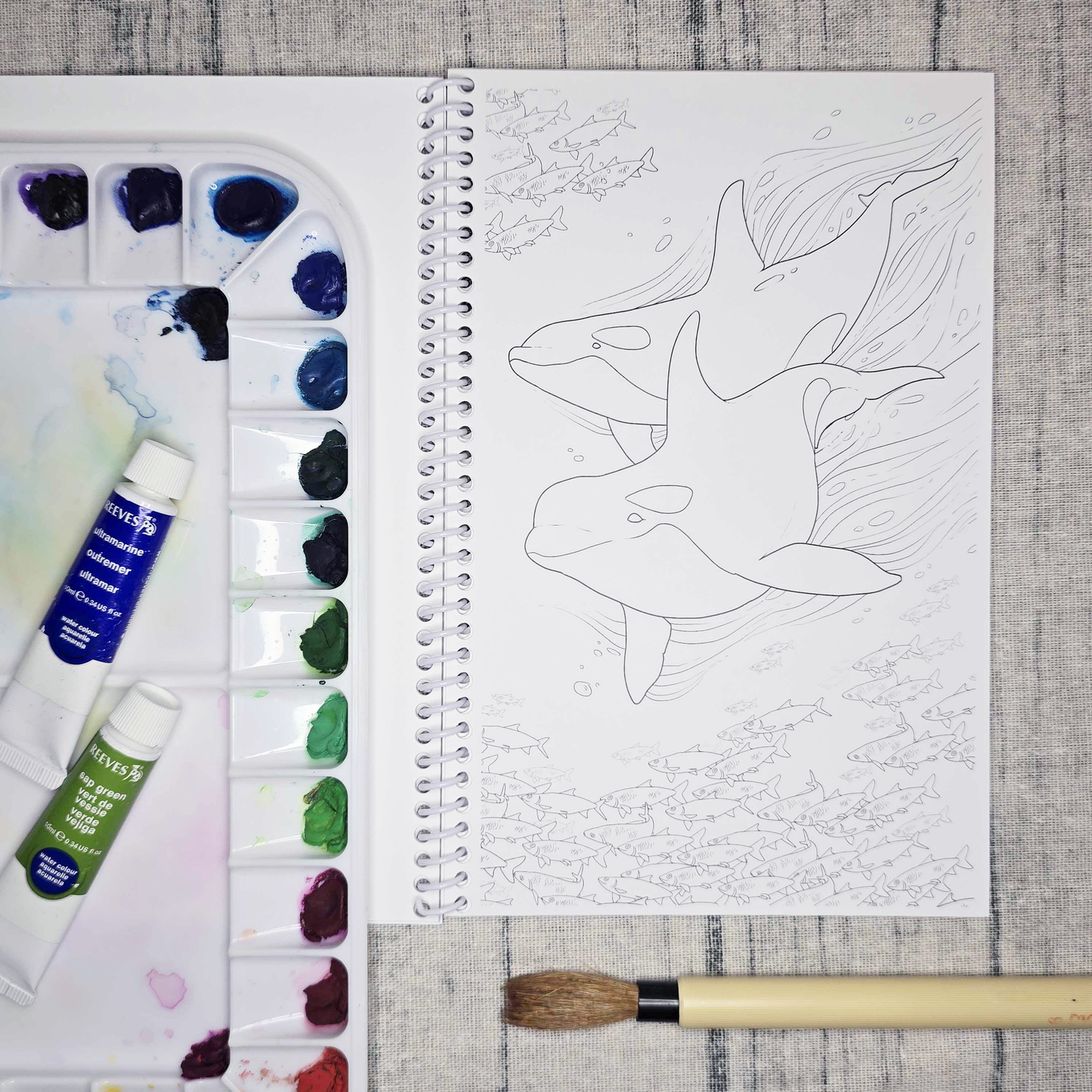 Coastal Alaska Art Coloring Book