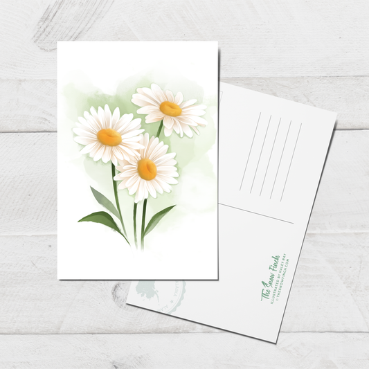 Alaska Daisy Postcard || 4x6 Floral Botanical Art