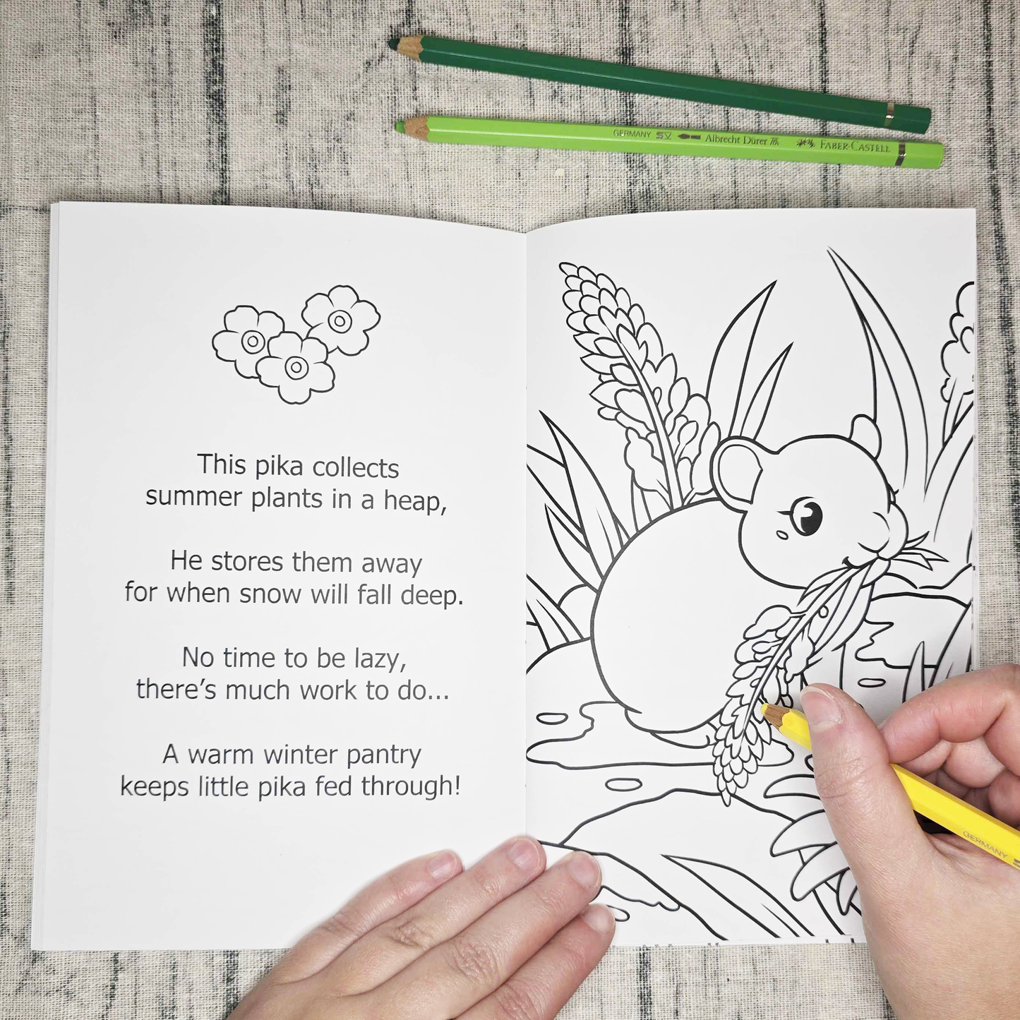 Alaskan Adventure Coloring Book