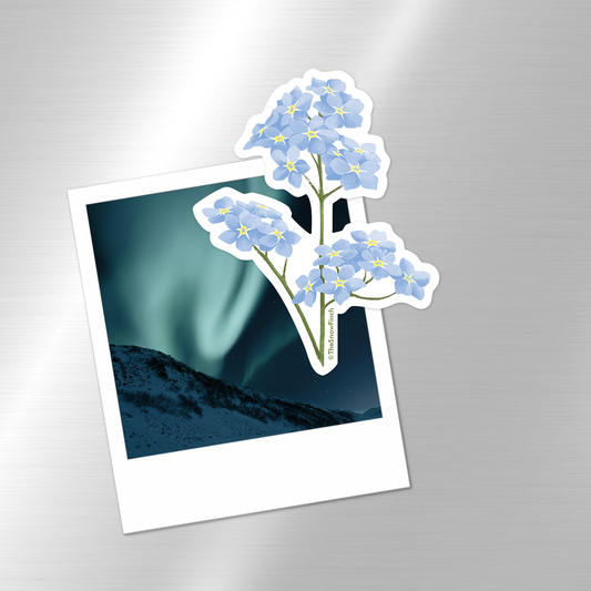 Forget Me Not Floral Magnet
