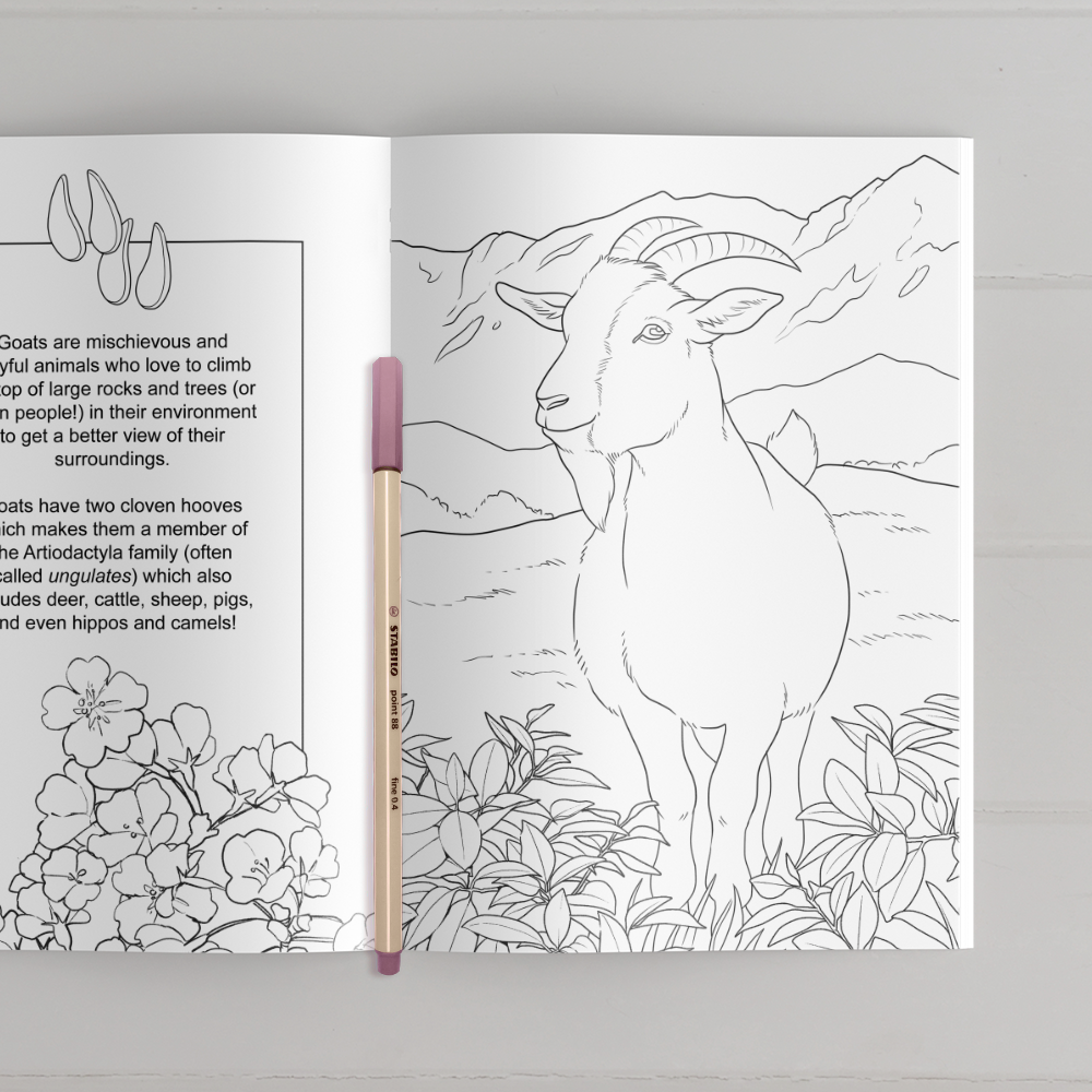 Farmyard Friends Coloring Book