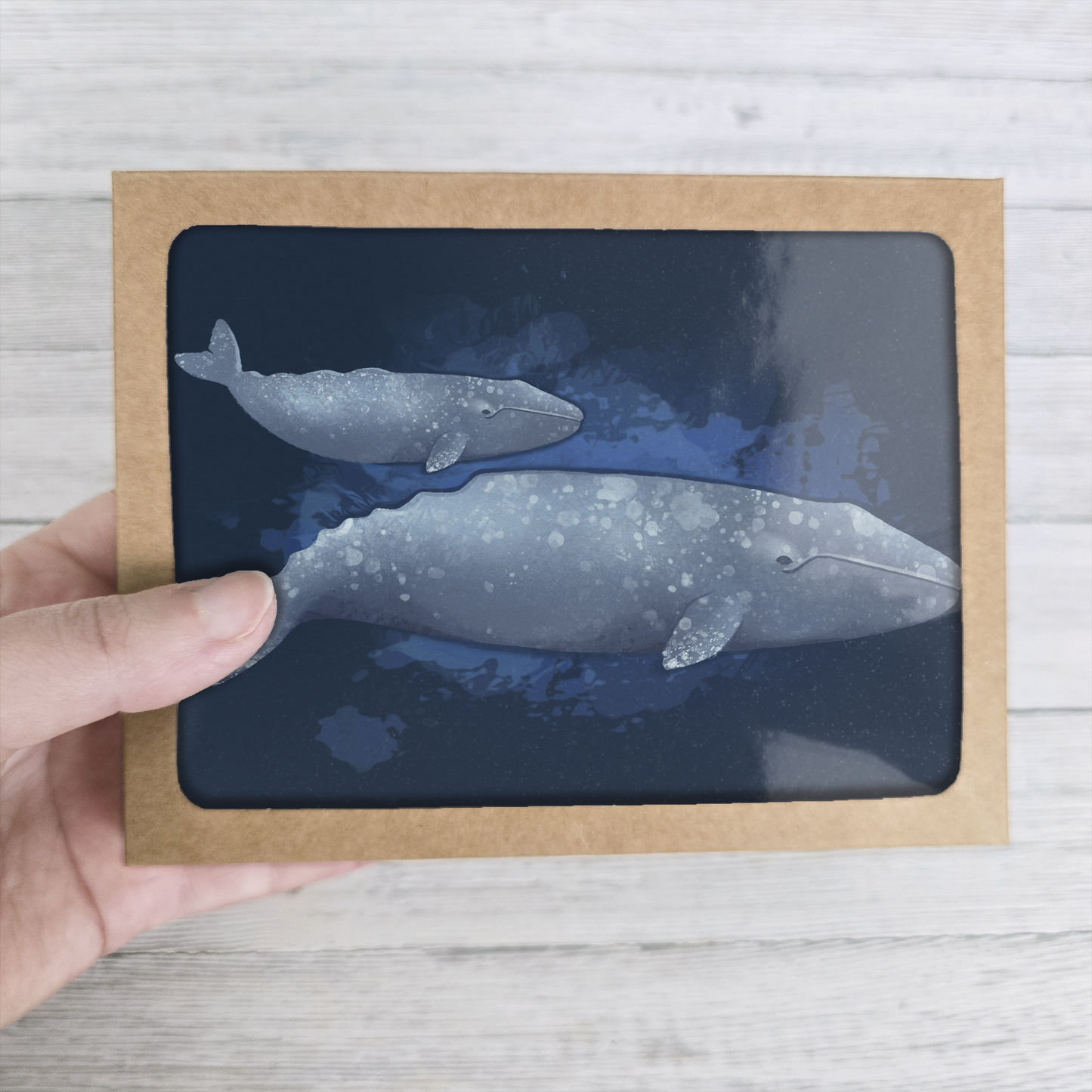 Whales of Alaska Greeting Card Box Set || Alaska Stationery