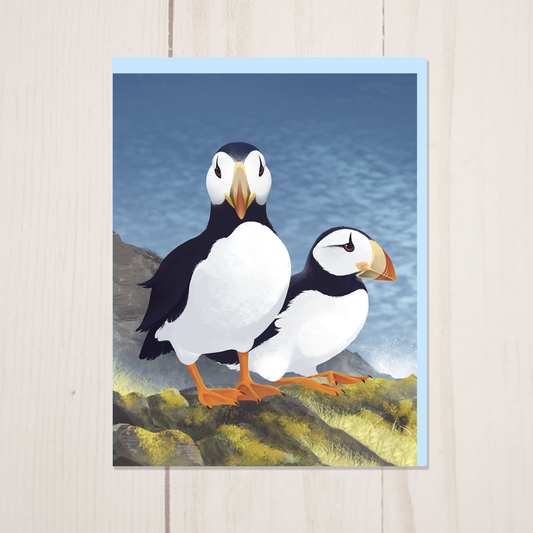 Horned Puffin Pair Greeting Card and Envelope