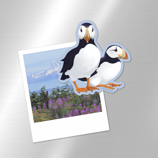 Horned Puffin Pair Wildlife Magnet