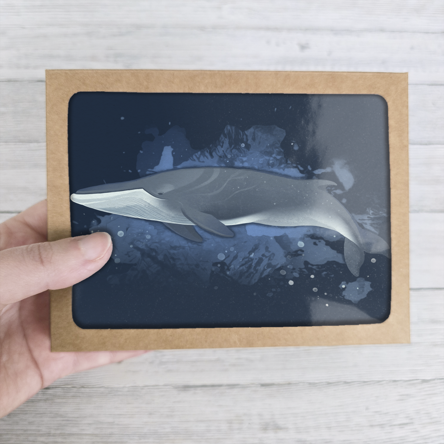 Whales of Alaska Greeting Card Box Set || Alaska Stationery