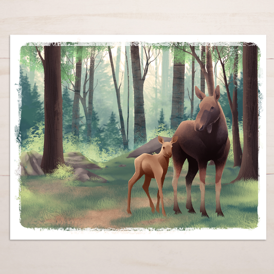 Mama Moose and Baby || Forest Wildlife Fine Art Print