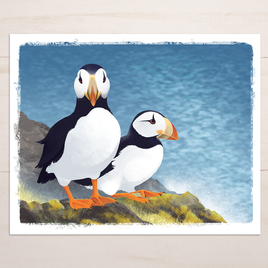 Horned Puffin Pair || Coastal Wildlife Fine Art Print