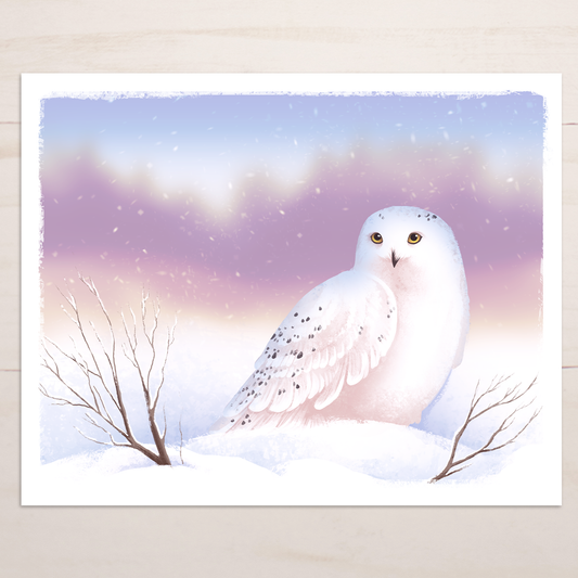 Snowy Owl || Alaska Arctic Wildlife Art Print