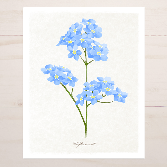Forget Me Not Floral || Botanical Fine Art Print