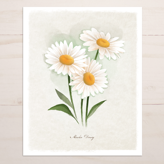 Alaska Daisy Floral || Botanical Fine Art Print
