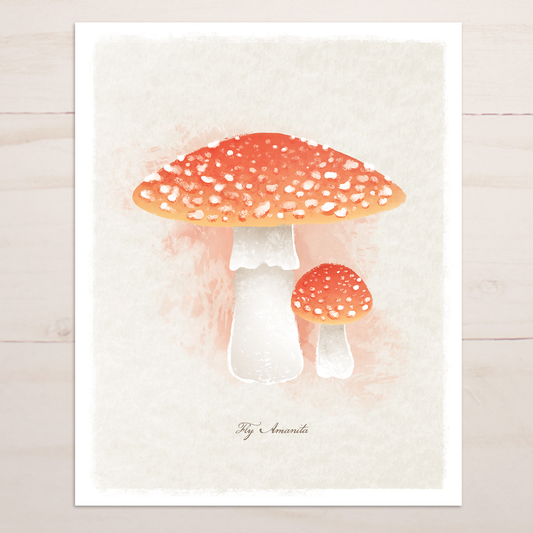 Mushroom Floral || Botanical Fine Art Print