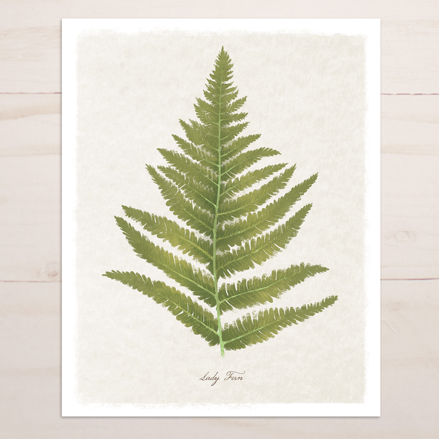 Lady Fern Floral || Botanical Fine Art Print
