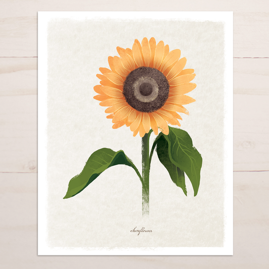 Sunflower Floral || Botanical Fine Art Print