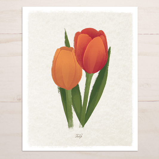 Tulip Botanical Print