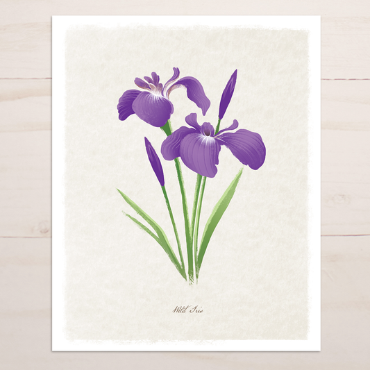 Wild Iris Floral || Botanical Fine Art Print