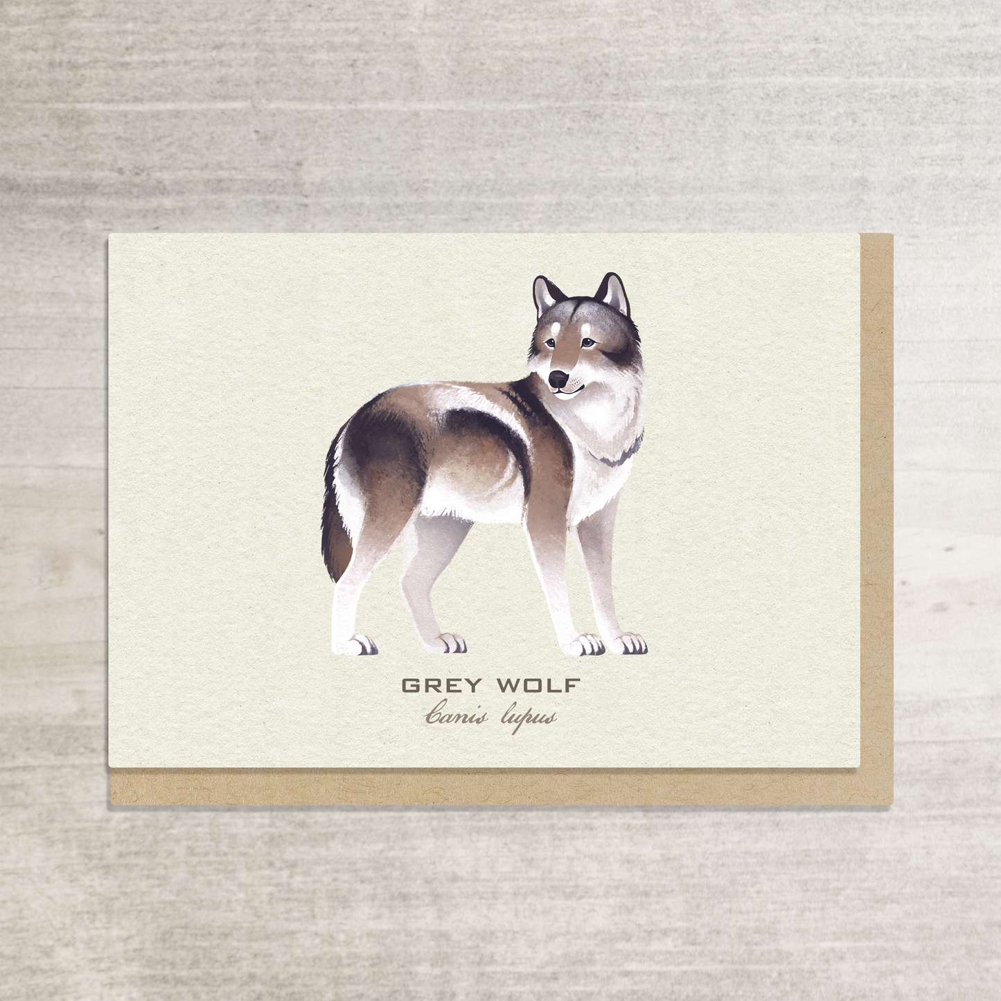 Wolf Greeting Card || A6