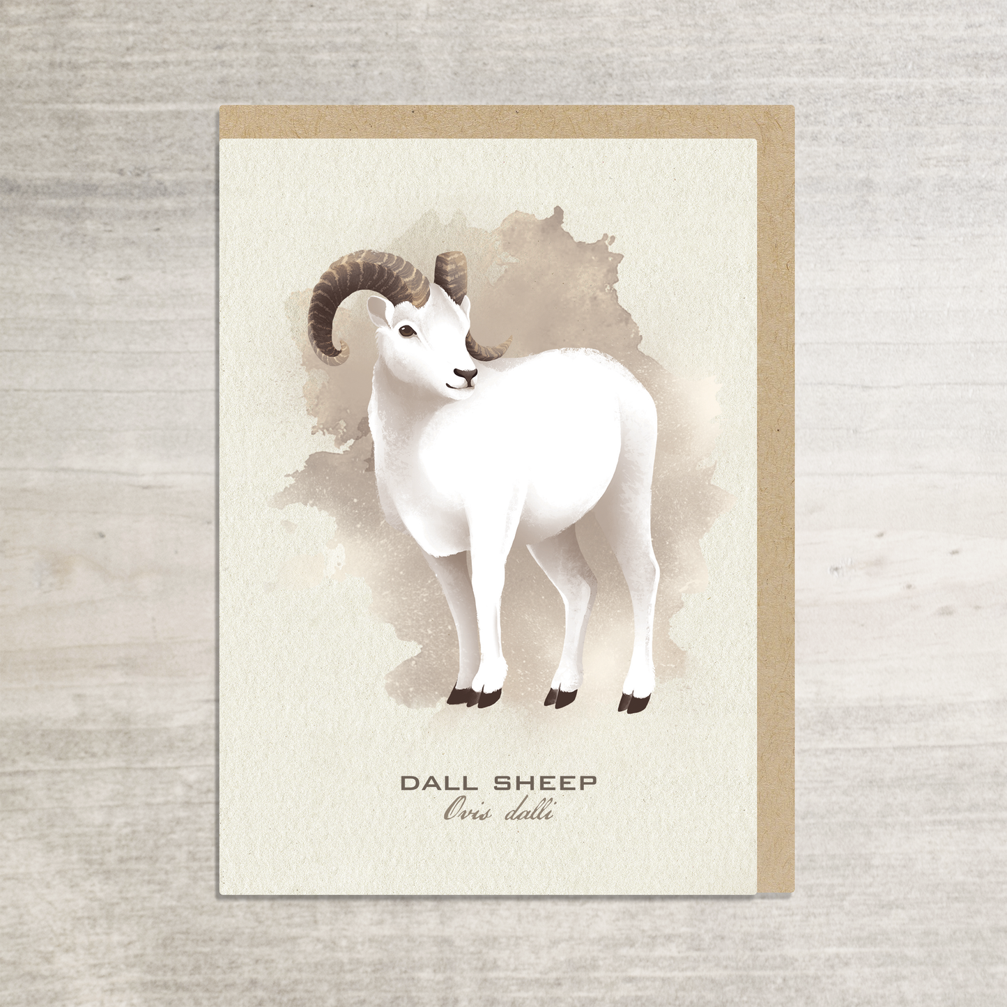 Dall Sheep Greeting Card || A6