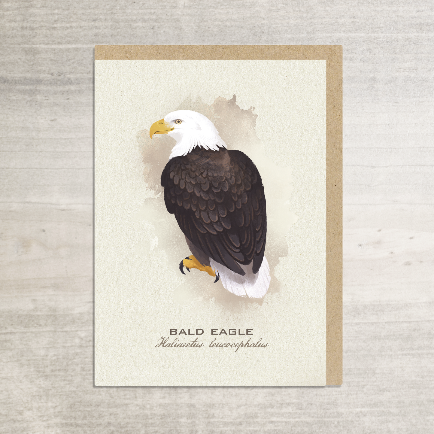 Alaska Wildlife Greeting Card Box Set || Alaska Stationery Collection || A6