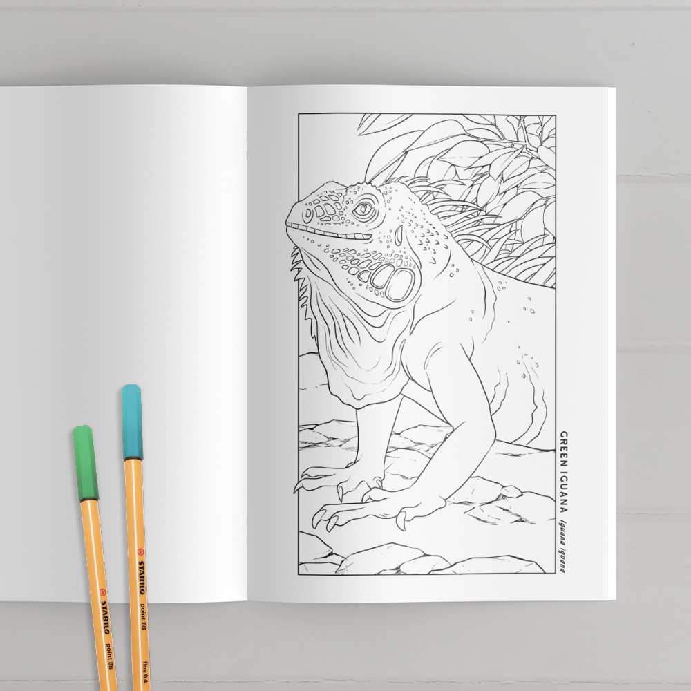 Reptile & Amphibian Coloring Book
