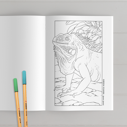 Reptile & Amphibian Coloring Book