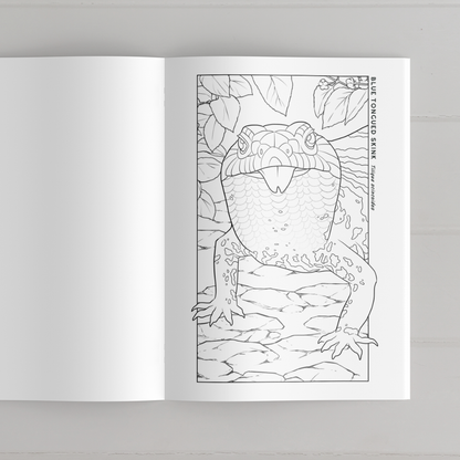 Reptile & Amphibian Coloring Book