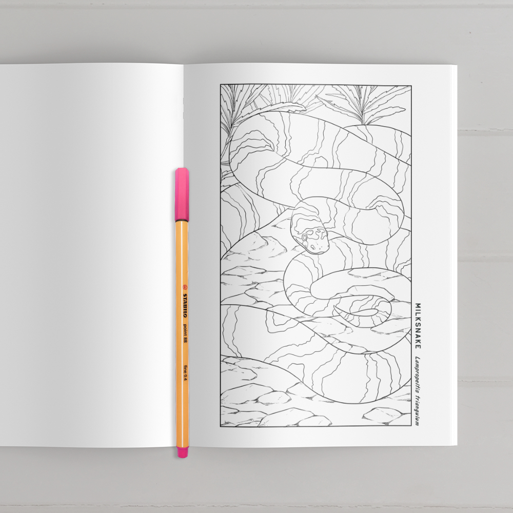 Reptile & Amphibian Coloring Book