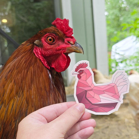 Geometric Chicken Sticker || Waterproof Vinyl