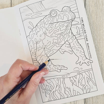 Reptile & Amphibian Coloring Book