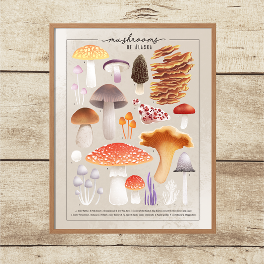 Mushrooms of Alaska || Field Guide Art Print
