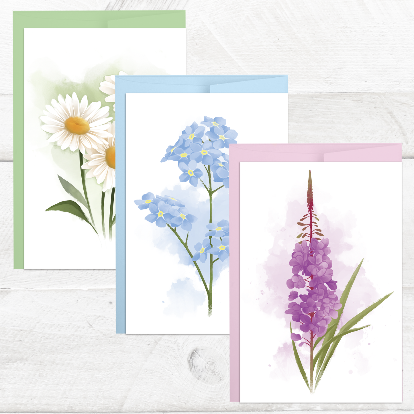 Alaska Floral Postcard Set || Botanical Illustrations