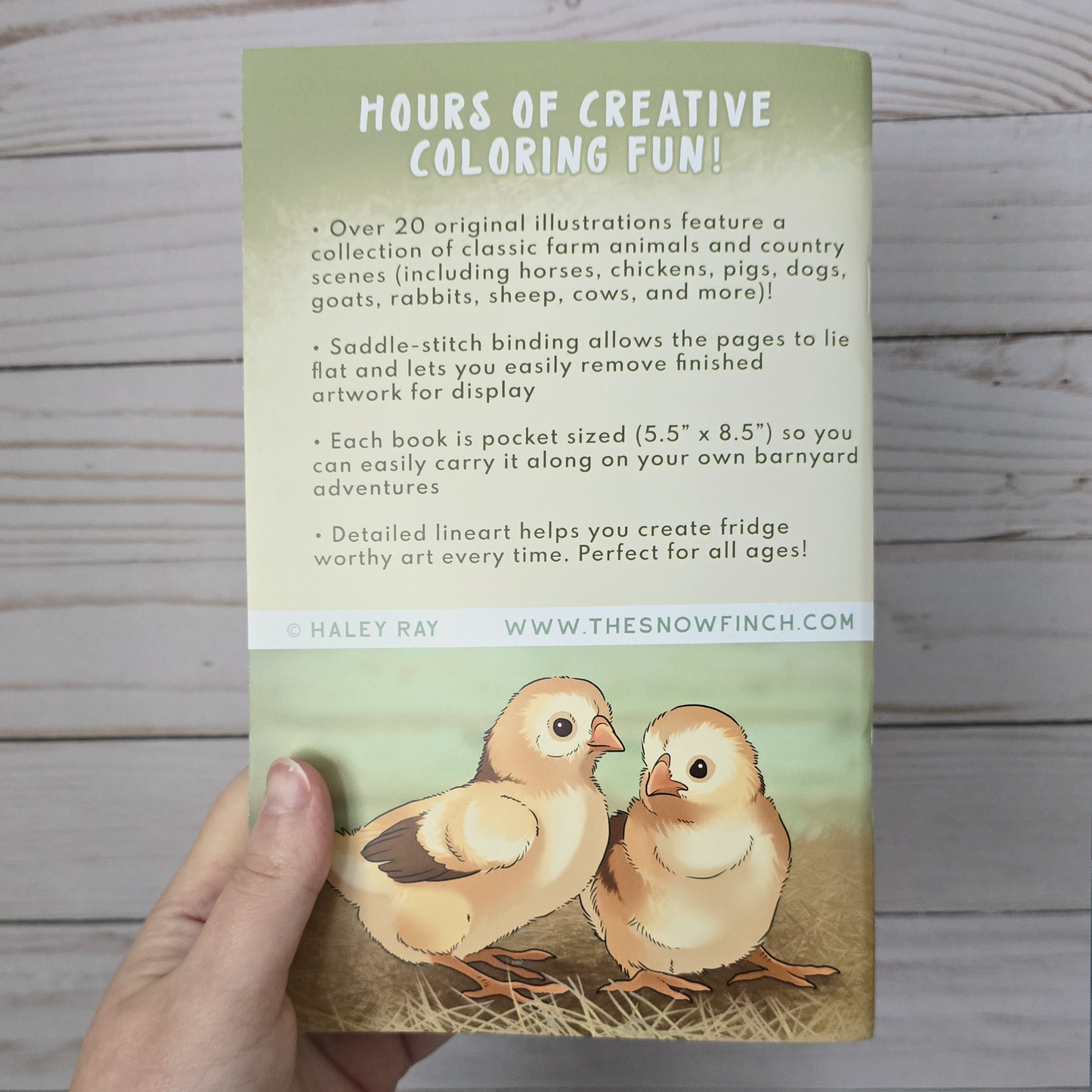 Farmyard Friends Coloring Book